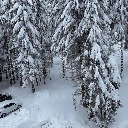 студио е 13 アパート パンポロボ