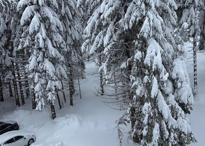 студио е 13 Appartement Pamporovo